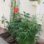 Kwatera prywatna Casa Valentin Eforie Nord