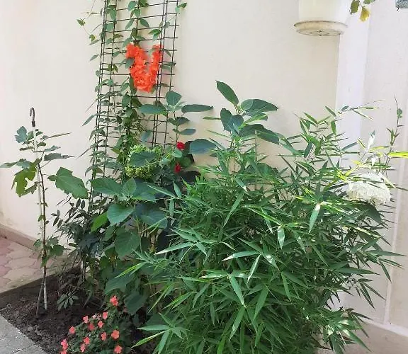 Homestay Casa Valentin Eforie Nord