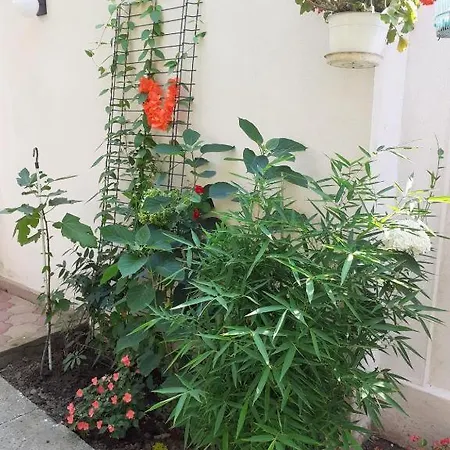 Alloggio in famiglia Casa Valentin Eforie Nord