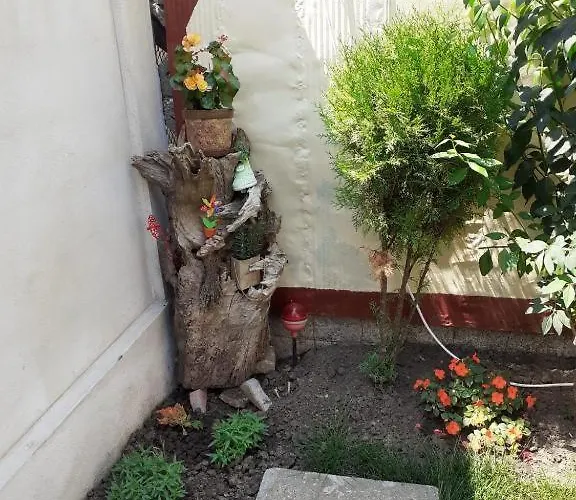 民宿 Casa Valentin 艾福雷诺德